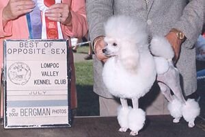 Zamora's Secret Weapon