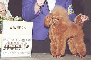 Zamora's Red Lucille